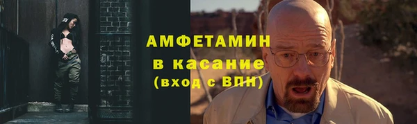 шишки Арсеньев