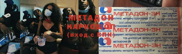 шишки Арсеньев